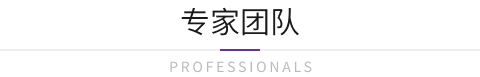 专家团队